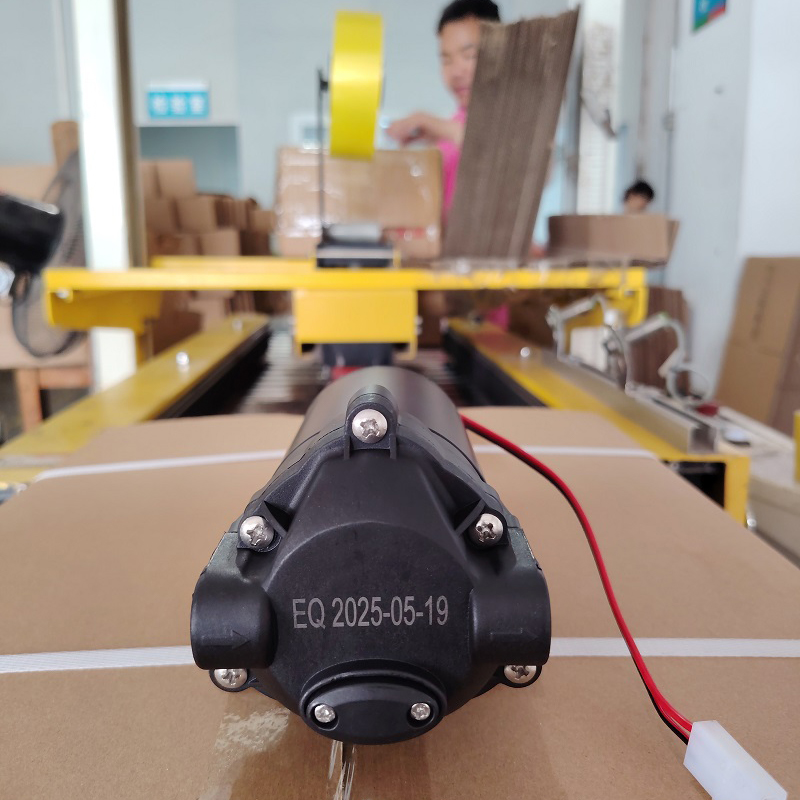 Zuanli Boost Pumps 배송 오늘 컨테이너 로딩을 위해!