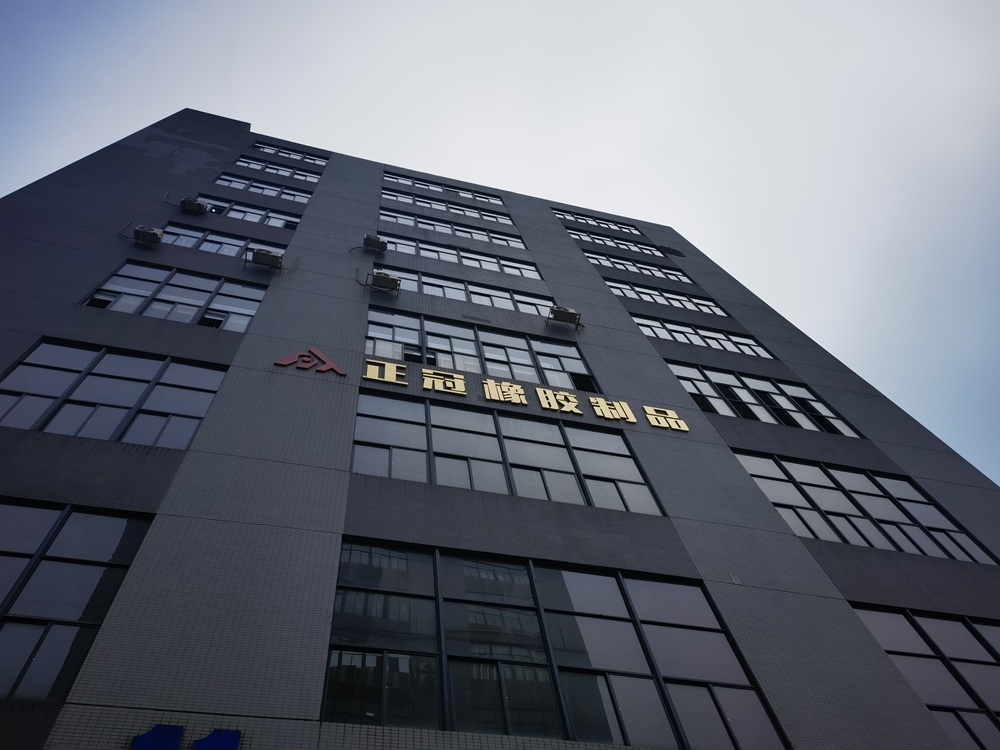 정밀성에 투자: [zhengguan 고무] 고급 고무 및 실리콘 테스트 연구소 설립